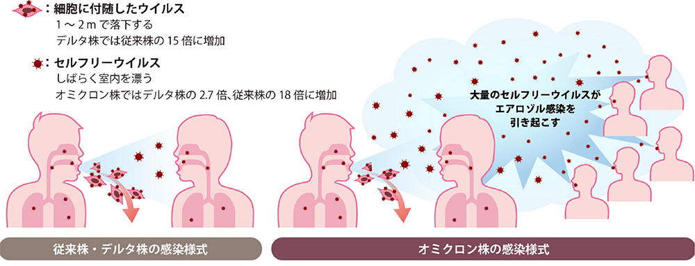 今回の研究成果を表す概念図