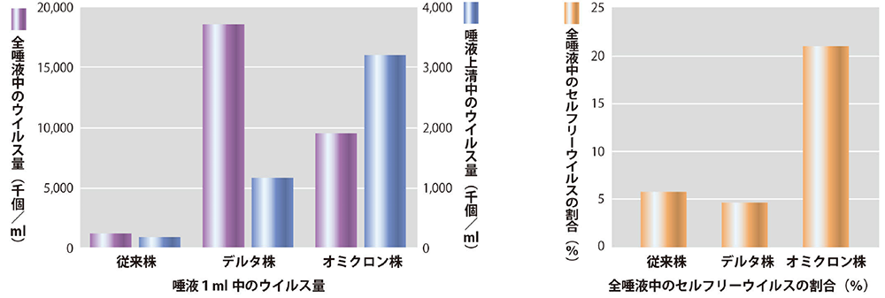 結果の概要